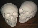 gipsen Schedels, medium-maat BESCHILDERBARE blanco Skulls, Ophalen of Verzenden, Nieuw