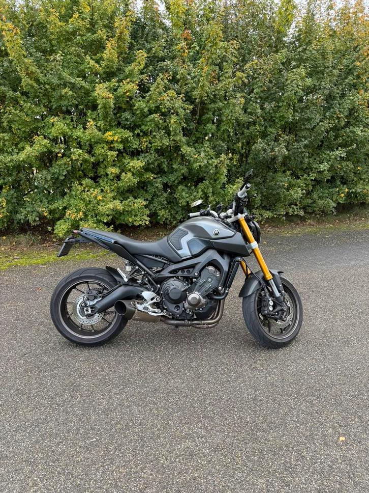 Yamaha MT-09 2015 - ABS - Goed Onderhouden - Weinig KM, Motoren, Motoren | Yamaha, Bedrijf, Naked bike, meer dan 35 kW, 3 cilinders