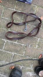 Honden riem leer, Ophalen, Zo goed als nieuw