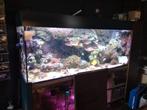 Kompleet zeeaquarium, Dieren en Toebehoren, Vissen | Aquaria en Toebehoren, Verzenden, Nieuw, Gevuld zeewateraquarium