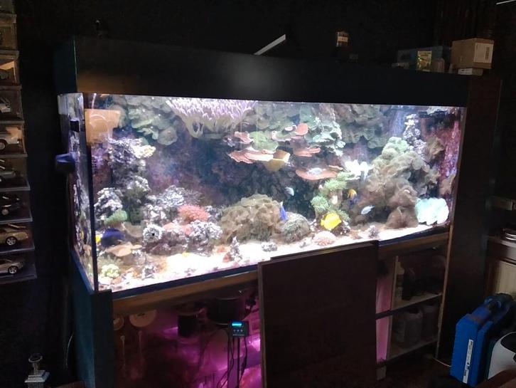 Kompleet zeeaquarium, Dieren en Toebehoren, Vissen | Aquaria en Toebehoren, Nieuw, Gevuld zeewateraquarium, Verzenden