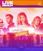 Gezocht! 2 tickets grootste zomerfeest, Tickets en Kaartjes, Evenementen en Festivals, Twee personen