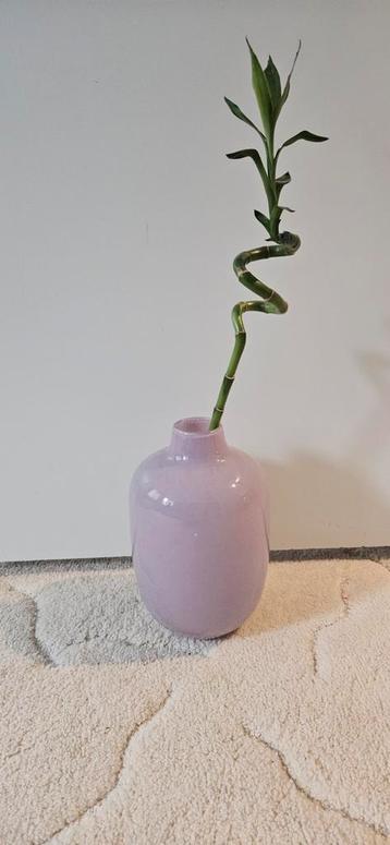 Mooie Glazen Vaas - Perfect voor Bloemen! beschikbaar voor biedingen