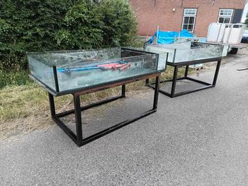 Lagere dieren aquarium koralen eiland verkoop kweek stekken beschikbaar voor biedingen