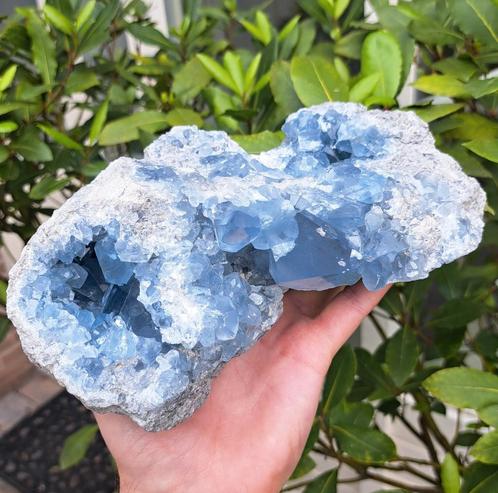 Topstuk! Celestien cluster A kwaliteit edelsteen verzameling, Verzamelen, Mineralen en Fossielen, Mineraal, Ophalen of Verzenden