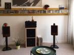 Legendarische TANNOY D 100 met orginele stands, Zo goed als nieuw, 120 watt of meer, Front, Rear of Stereo speakers, Ophalen