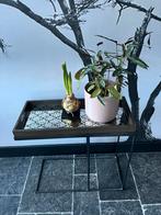 Notre Monde, 45 tot 60 cm, Minder dan 55 cm, Rond, Ophalen of Verzenden