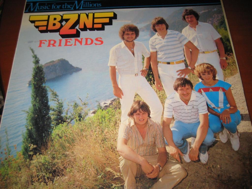 LP, BZN: Friends, Cd's en Dvd's, Vinyl | Pop, Ophalen of Verzenden, Zo goed als nieuw, 12 inch