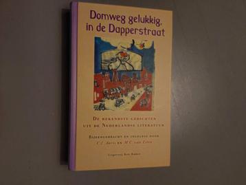 Domweg gelukkig, in de Dapperstraat beschikbaar voor biedingen