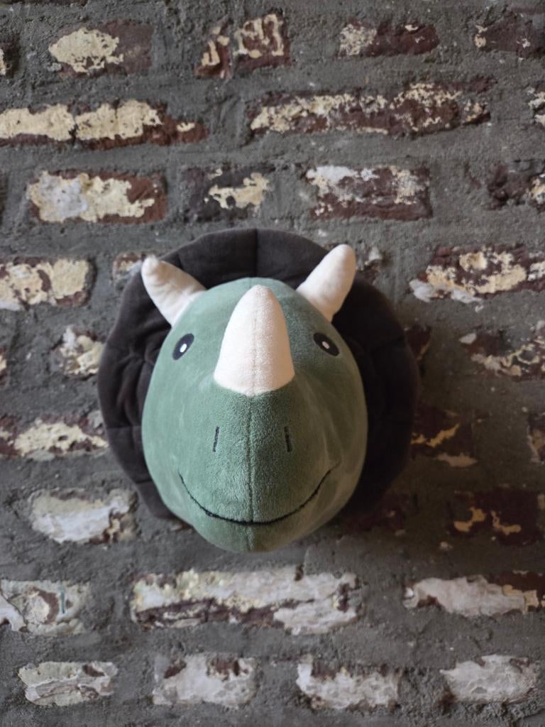 WANDDECORATIE - DINO, Ophalen of Verzenden, Zo goed als nieuw, Wanddecoratie