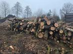Haardhout Stammen, Tuin en Terras, Haardhout, 6 m³ of meer, Ophalen, Overige houtsoorten, Stammen