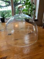 Glazen stolp 29cm, Ophalen, Zo goed als nieuw