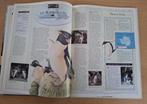 Boek Pinguïns – uit serie Dier in Beeld, Ophalen of Verzenden, Nieuw, Overige diersoorten