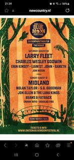 2 tickets Once in a Blue moon festival den Haag, Tickets en Kaartjes, Twee personen