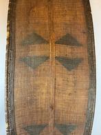 241135 - Heel mooi Afrikaans Ngbandi Schild uit Congo., Antiek en Kunst, Ophalen of Verzenden