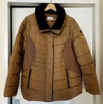 Miss Etam padded jas.Maat:50. NIEUW, Miss Etam, Ophalen of Verzenden, Nieuw, Maat 46/48 (XL) of groter