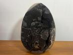 Septarie Ei (8) 14,1 kg! 21x31x18 cm uniek prachtstuk., Ophalen of Verzenden, Mineraal