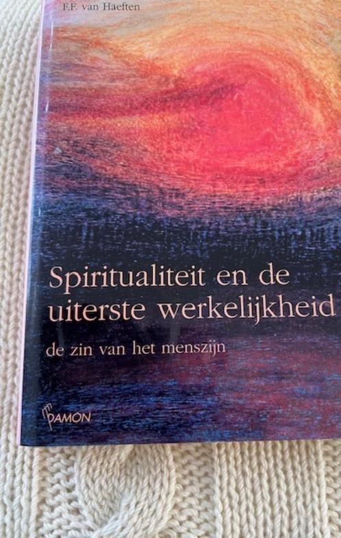 Spiritualiteit en de uiterste werkelijkheid  -  van Haeften, Boeken, Esoterie en Spiritualiteit, Ophalen of Verzenden