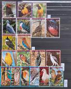 Kaveltje postzegels Equatoriaal-Guinea; vogels, Ophalen of Verzenden, Gestempeld, Dier of Natuur