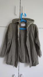 Vest Zara - maat 110, Kinderen en Baby's, Kinderkleding | Maat 110, Gebruikt, Trui of Vest, Ophalen of Verzenden, Zara