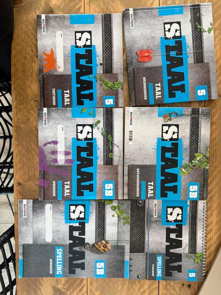 Hele staal boeken set groep 5, Boeken, Schoolboeken, Gelezen, Nederlands, Overige niveaus, Ophalen of Verzenden