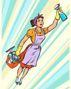 Gezocht huishoudelijke hulp in Den Ham, Variabele uren, Overige niveaus, Starter, Overige vormen