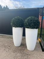 2 Witte Potten met Kunstlaurier - 135cm, Kunststof, Balkon, 40 cm of meer, Rond