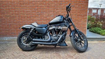 Harley Davidson 883 iron  5HD beschikbaar voor biedingen