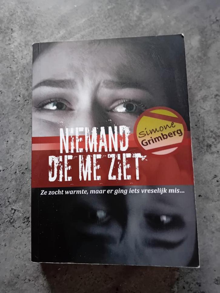 Niemand Die Me Ziet - Simone Grimberg, Boeken, Thrillers, Gelezen, Nederland, Verzenden