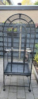 Oerdegelijke papegaaienkooi., Ophalen, Zo goed als nieuw, Metaal, Vogelkooi