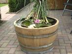 Houten bloembak half wijnvat whiskyvat palmboom kruidenbak, Tuin, Gerard Krale, Rond, Nieuw