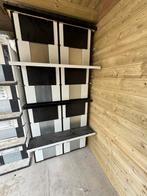 2x donkerhok van 4 hardhout, Mannelijk, Kropper