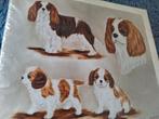 Foto van een tekening van Cavalier King Charles spaniël, Ophalen of Verzenden, Zo goed als nieuw