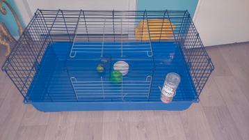 Konijnenkooi , caviakooi.  beschikbaar voor biedingen