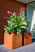 Cortenstaal Plantenbakken - Nieuw!, Minder dan 60 cm, Vierkant, Nieuw, Ophalen of Verzenden