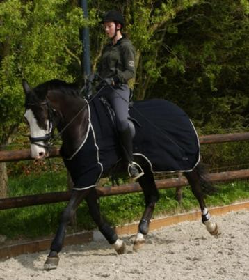 Fleece uitrijdeken, los borststuk, maten 175 t/m 195 beschikbaar voor biedingen