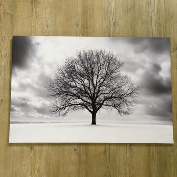 Canvas schilderij 90x60 cm – boom in winterlandschap beschikbaar voor biedingen