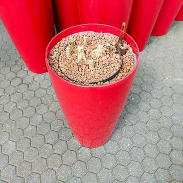 Bordeaux rode  bloempot - kunststof ``afgeprijsd!! beschikbaar voor biedingen