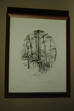 Lijstje met etsje afbeelding bos, Antiek en Kunst, Ophalen of Verzenden