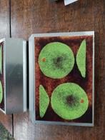 2x Vintage/retro deurgreep voordeur handvat 2 groene vissen