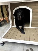 Perfecte en gezellige Buitenhok voor jou Hond., Dieren en Toebehoren, Ophalen, 65 tot 100 cm, Hondenhok, Zo goed als nieuw