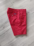 Sacoor Brothers, rode chino bermuda., Maat 52/54 (L), Gedragen, Ophalen of Verzenden, Rood