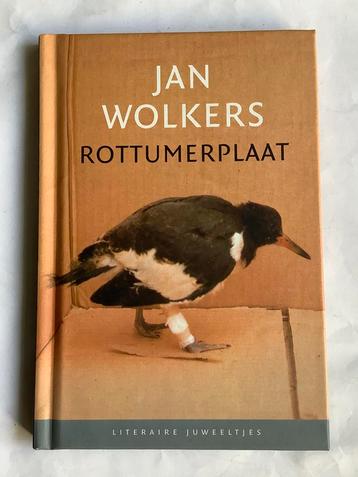 JAN WOLKERS - ROTTUMERPLAAT beschikbaar voor biedingen