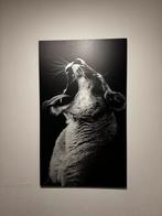 Schilderij King Of The Wild - 70x118 cm, Ophalen