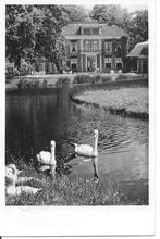 Jeugdherberg STANIA STATE Oenkerk.   Zwanen., Ophalen of Verzenden, 1960 tot 1980, Gelopen, Friesland