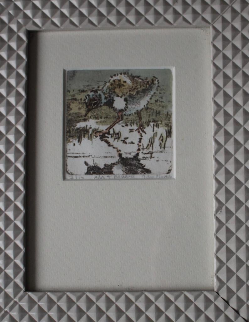 Ets/aquarel 7 van 12. Joke Plomp., Antiek en Kunst, Ophalen of Verzenden