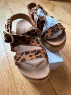 Nieuwe panter sandalen in maat 37, Kleding | Dames, Schoenen, Bruin, Verzenden, Nieuw, Sandalen of Muiltjes