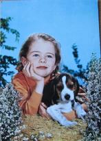 Meisje met basset pup in haar armen - nieuw, Verzenden, 1960 tot 1980, Ongelopen, Hond of Kat