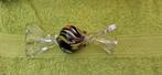 Murano Glas snoepje, Antiek en Kunst, Antiek | Glas en Kristal, Ophalen of Verzenden