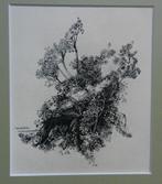 O. inkt tekening Fluitekruid Willem vd Berg 1963 (1886-1970), Antiek en Kunst, Kunst | Tekeningen en Foto's, Ophalen of Verzenden